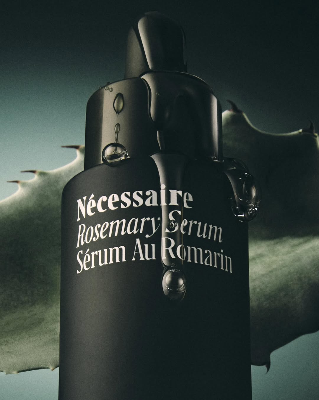 Gary Petersen X Nécessaire