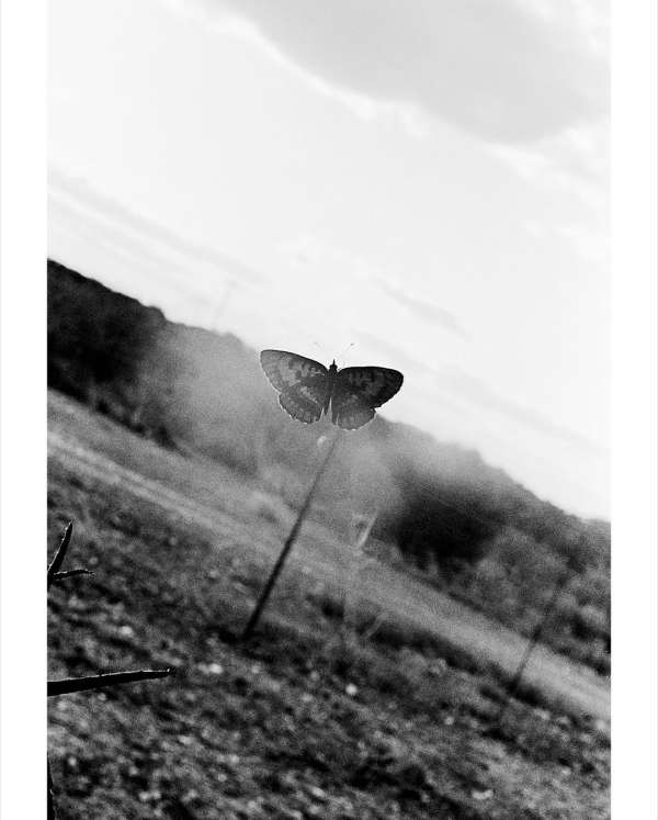 D.M. Terblanche fanzine⁣⁣ & Exhibition at S...