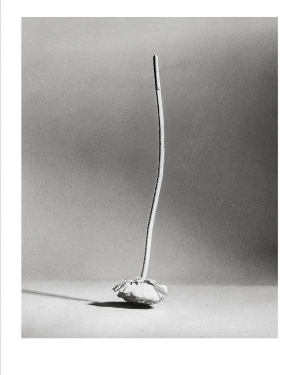 Fashion photographer @khaksariarash, winner...