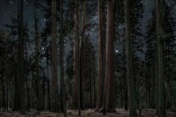 Excerpts of the new series "Carbon Catchers...