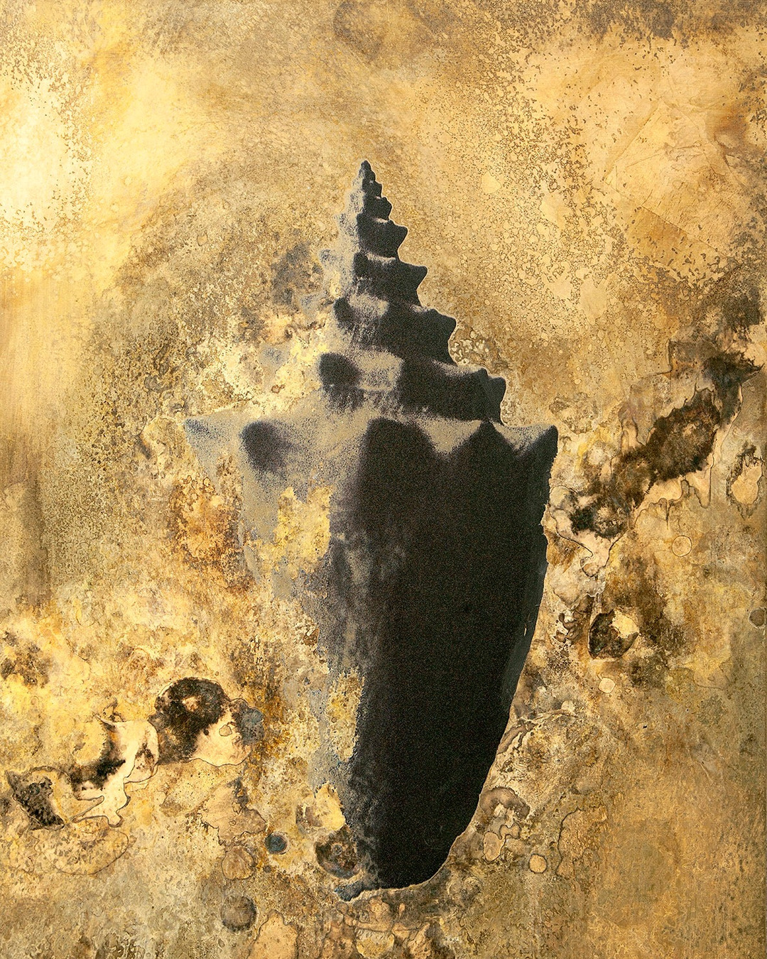@nicola.avanzinelli  is an Italian visual artist, a graduate of the Academy of Fine Arts in Carrara, and a former participant of Atelier Smedsby (2017), led by JH Engström and Margot Wallard. He alters his images through chemical processes like oxidation and acidification, turning photography into a space where reality and illusion blend. 

Exuvia, from the Latin meaning “what is shed,” is a series of images in which each work is presented like a fossil. The photographs reveal the transformation of reality through the processes they undergo - corrosion, abrasion, and alchemy. These processes are not just surface treatments, but form an essential part of the images’ language and meaning.

Printing by @granondigital 

Exuvia, is on view until October 25 as part of the @incadaques_festival