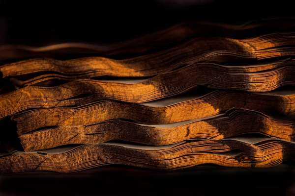 Handcrafting pianos by @steinwayparis 