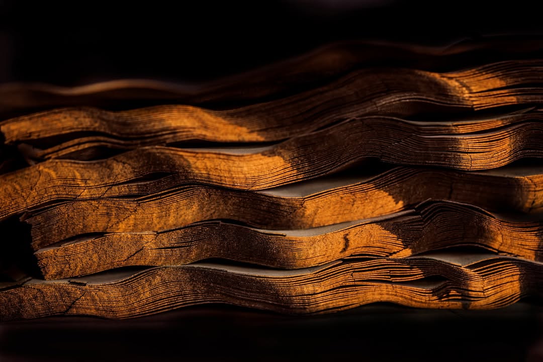 Handcrafting pianos by @steinwayparis 
Shot by @polbaril represented by @julianmeijeragency 

retouching by @granondigital