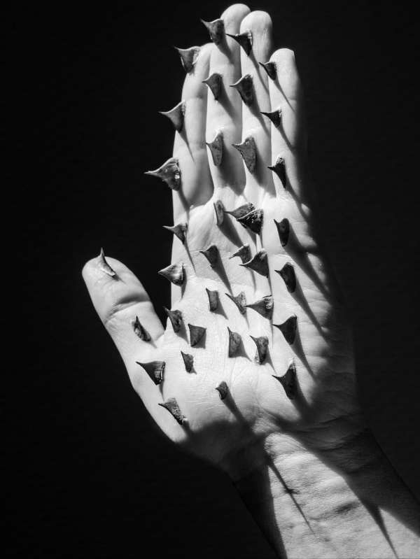 Meet artist Chloé Azzopardi, whose series «...