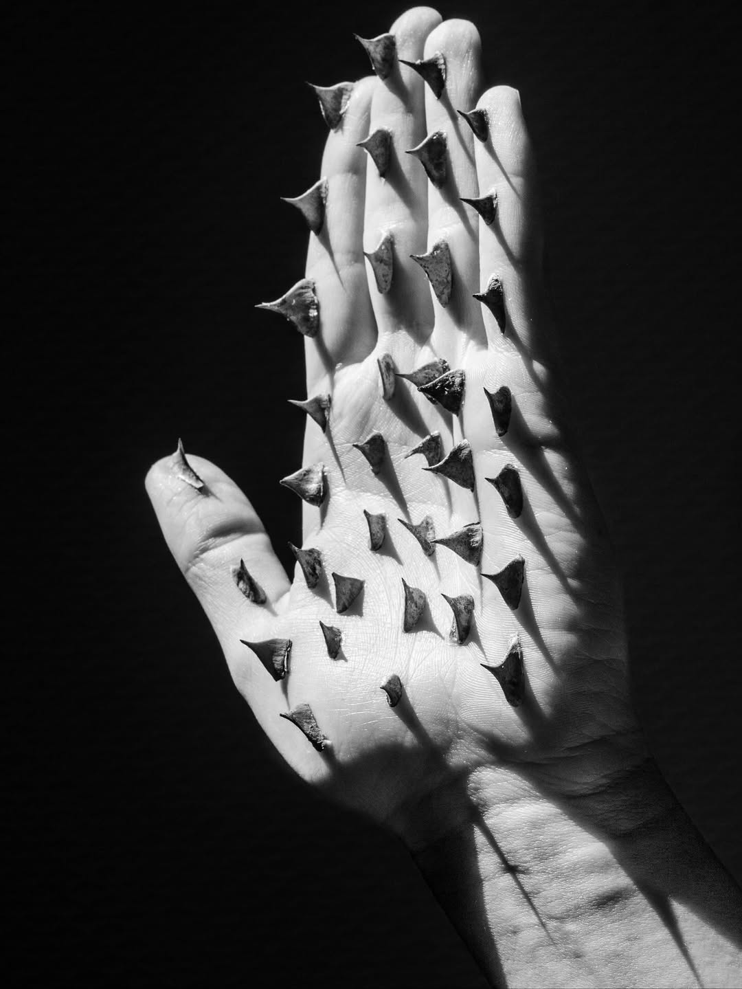 Meet artist Chloé Azzopardi, whose series « Non Technological Devices » blends photography and sculpture into an embodied reflection on our relationship with the living world. With organic materials and poetic forms she invites us to “augment” ourselves not through technology—but through our connection to nature.
Born in the digital age and yet deeply aware of the climate crisis, she offers a creative act of ecological self-defense—objects that feel like limbs, tools, extensions of care and resistance.
The photo series « Non Technological Devices by @qloait is on view at @parisphotofair at the @fisheye_gallery corner through November 16 

printing by @granondigital