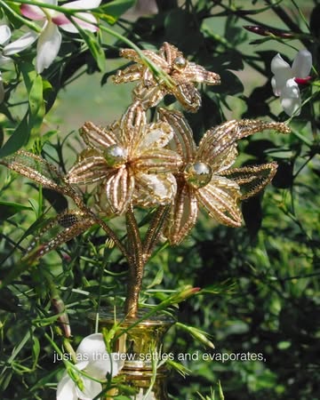 Jasmine at work: a flower cherished by Chri...