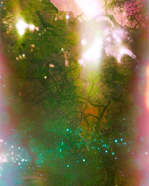 Alone behind the wheel of her car, @carolin...