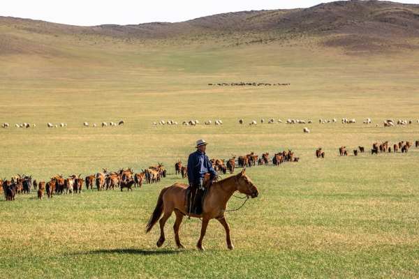 @loropiana cashmere, a story of care and he...