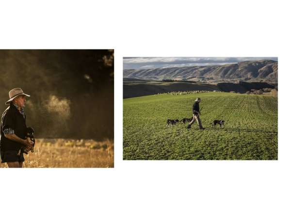 Each year, Loro Piana rewards the finest wo...