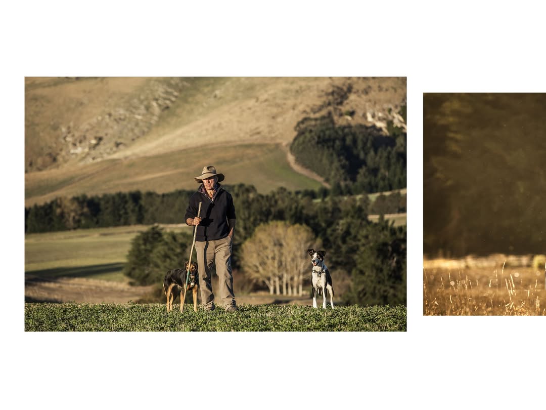 Each year, Loro Piana rewards the finest wool in the world with the Loro Piana Record Bale Award. In 2023, the Australian farm Pyrenees Park was honored.

The wool-making process is documented by @polbaril for @loropiana 
@julianmeijeragency 

post-production, color grading and retouching by @granondigital