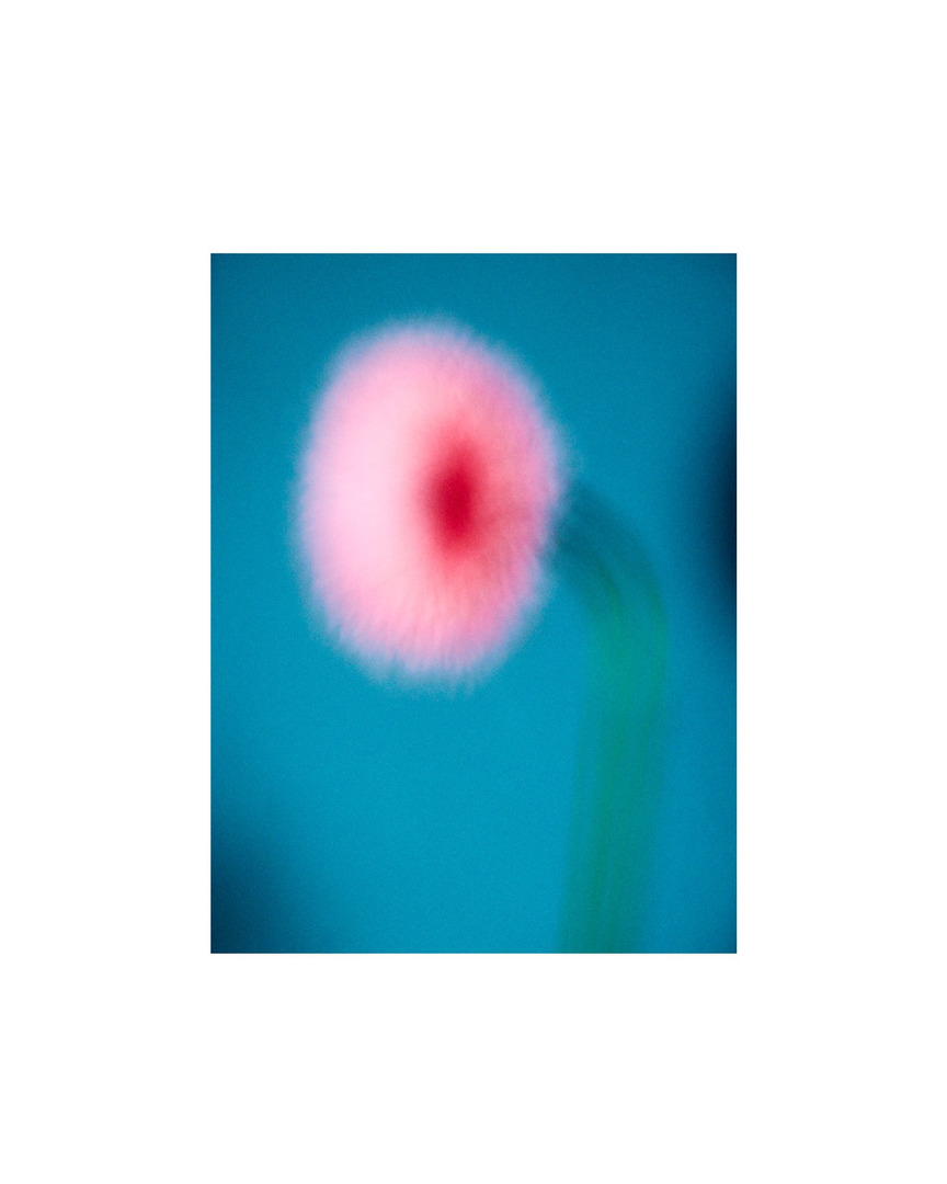 "De l'amour à la mort" is @valentinfougeray 's first book -  a dialogue between abstract photographs and poetic fragments. Color becomes a language, blur a memory. A sensitive journey through the emotional stages of love, not as truth, but as feeling.

grading and printing by @granondigital 

editing and publishing by @valentinfougeray �foreword @take_it_yse �
copy editing by @loichecht.exe �
printing by  @mediagraphicrennes 
graphic design by @fakepaper