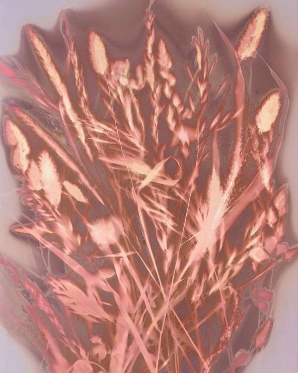 @_hugomapelli develops a visual language at...