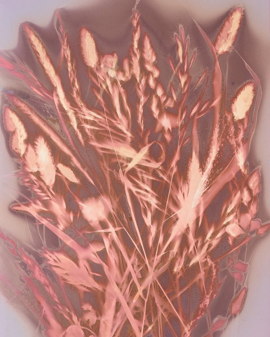 @_hugomapelli develops a visual language at the cr...