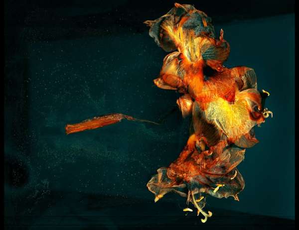 @ferrucci.jdo.artside  presents his work al...