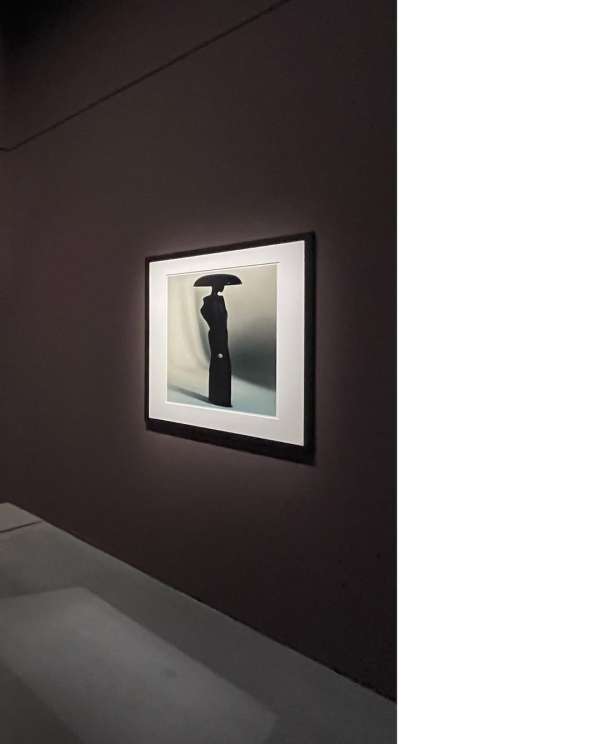 @roversi exhibition ‘Doubts’ at @themopfoun...