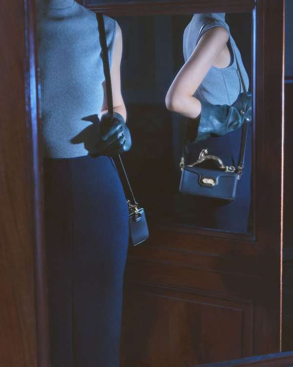 The Cat Bag & The Midnight Step  @lanvin  @...