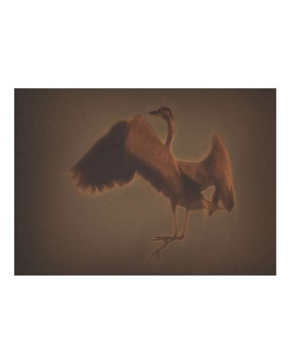 Fourth Edition of the “Premi Fotografia Fem...