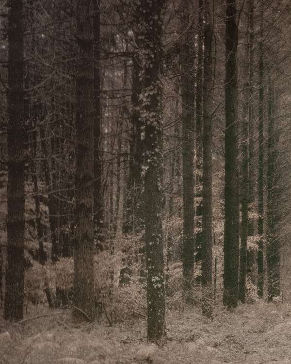 Fourth Edition of the “Premi Fotografia Fem...