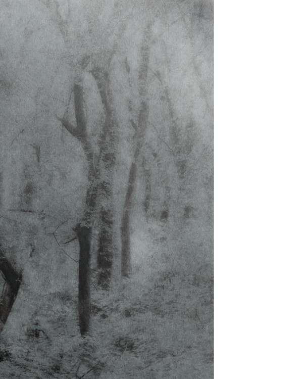 Fourth Edition of the “Premi Fotografia Fem...