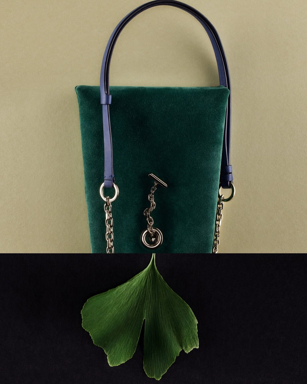 Joana Gauer X Amica Oct. 25