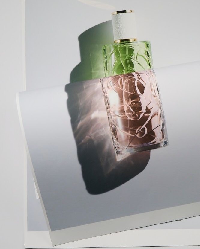 Joana Gauer X cactus Oct. 26