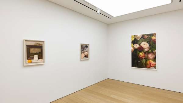 “Rude in the Good Way,” an exhibition of ph...