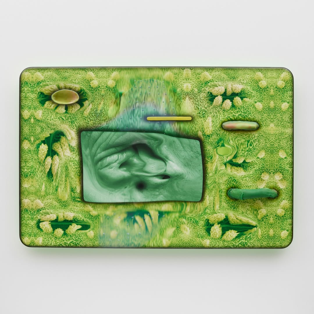 Tishan Hsu "Emergence" at Lisson Gallery, NY,NY 2026

For the show Tishan used Griffins UV printer to create works on stretched linen, Duralar, and gessoed wood panels. All of the wood panels were also sprayed in house with our protective water based UV varnish, adding extra protection against scratches, light, and handling.

 For over four decades, Hsu has
investigated the advancing intersection between the human body and technological systems, developing a singular
material language that blends digital imagery, industrial surfaces, and biomorphic forms. 

.
.
.
#lissongallery #tishanhsu #contemporaryart #contemporaryartists #uvprinting #uvprint #griffineditions #photography #painting #digitalphotography