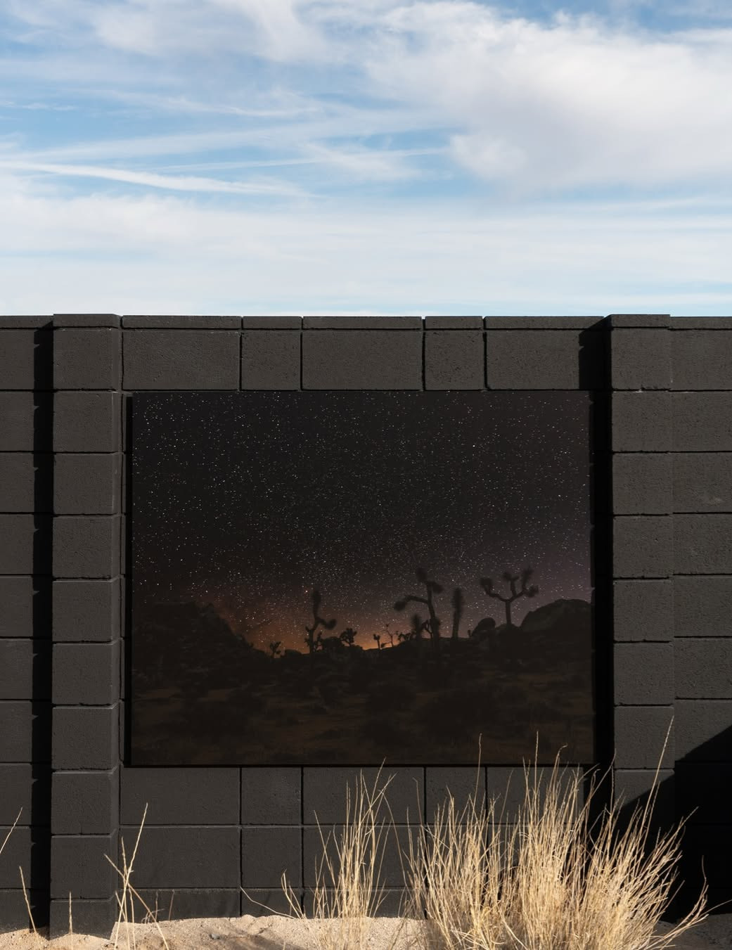 An-My Lê’s "Way Station" installation in Joshua...