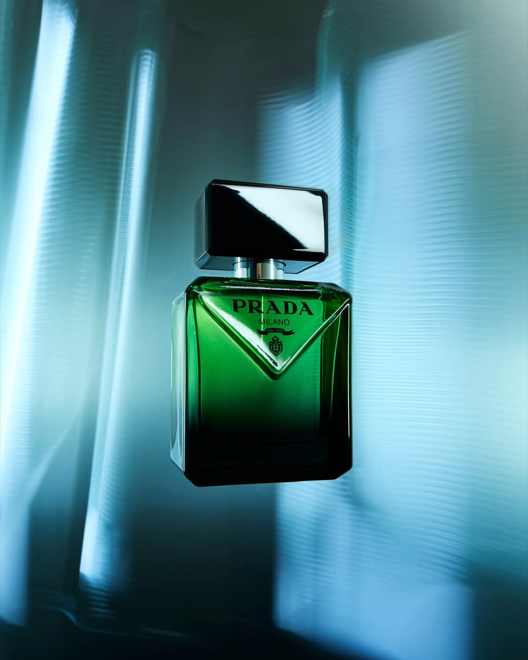 Guillermo Cano X Prada Oct. 25