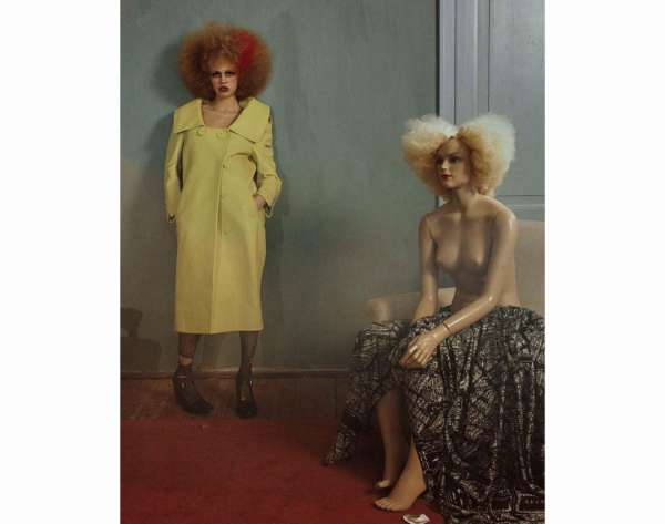 Lois Cohen