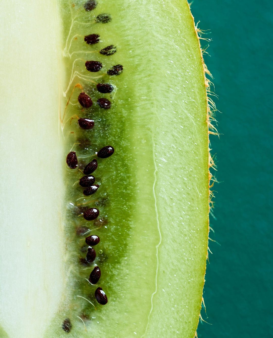 Pan Macmillan Australia |  Nov. 23