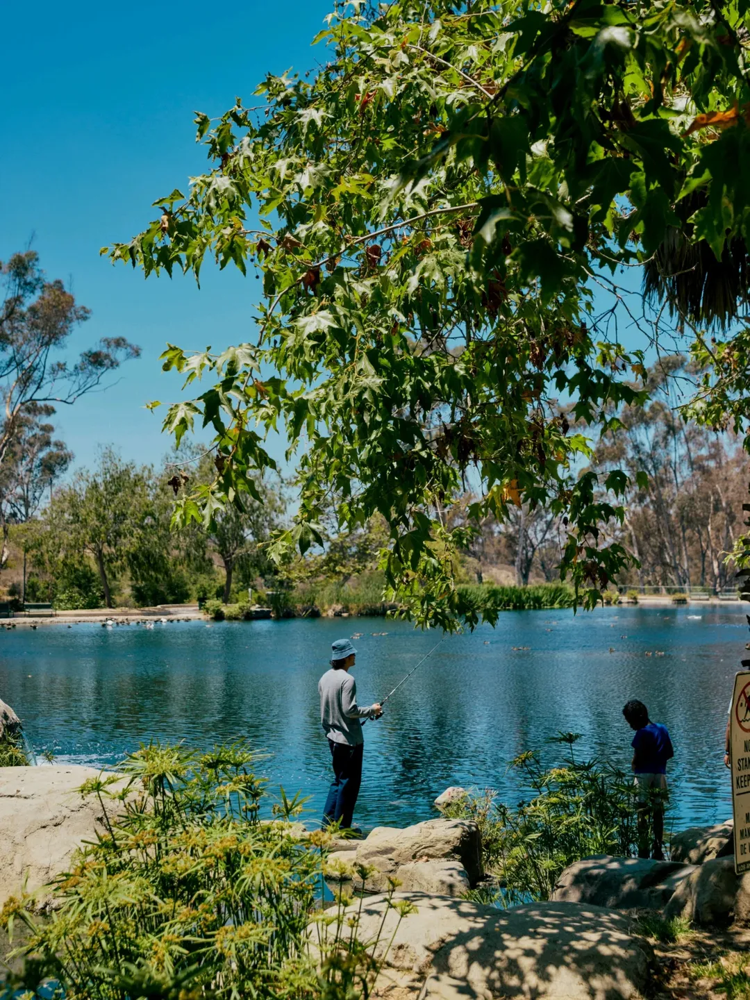 <a href="/charlie-hawks">Charlie Hawks</a> X Lendlease <span style="text-transform: none; white-space: nowrap;">Oct. 25</span>