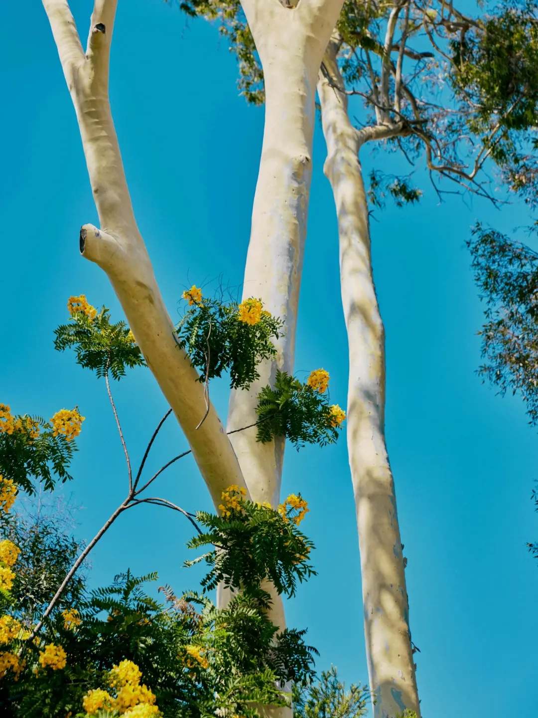 <a href="/charlie-hawks">Charlie Hawks</a> X Lendlease <span style="text-transform: none; white-space: nowrap;">Oct. 25</span>