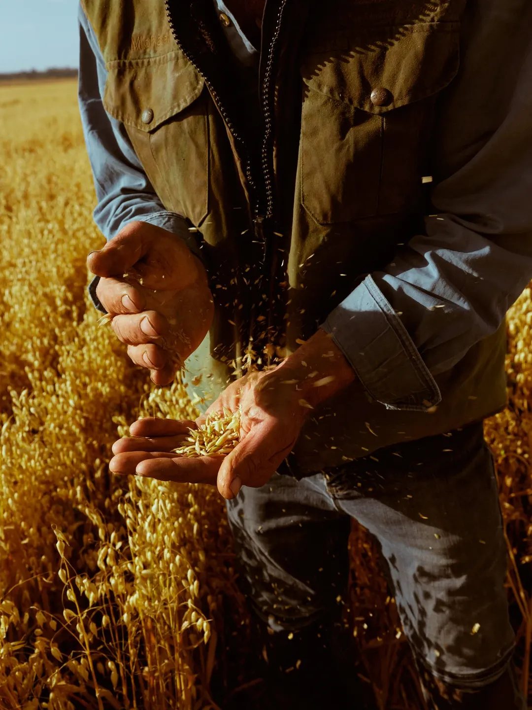 Cory White X Red Tractor Foods May. 26