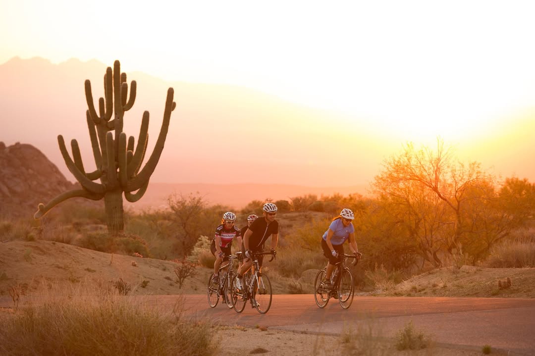 Diana Zalucky Feb. 26