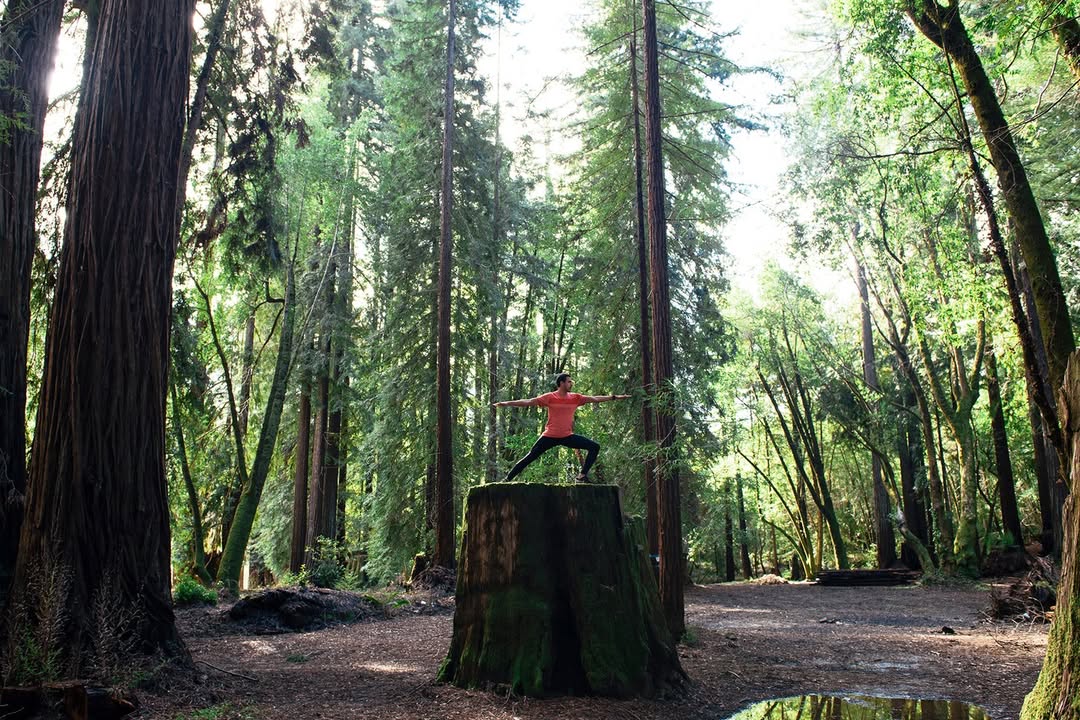 Diana Zalucky Feb. 26