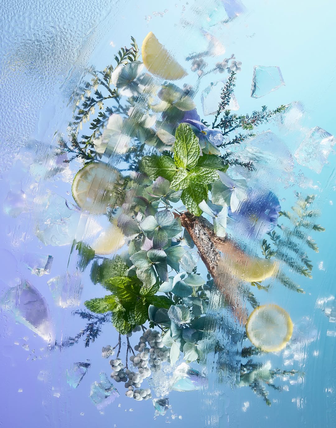 Dan Saelinger X OLLY