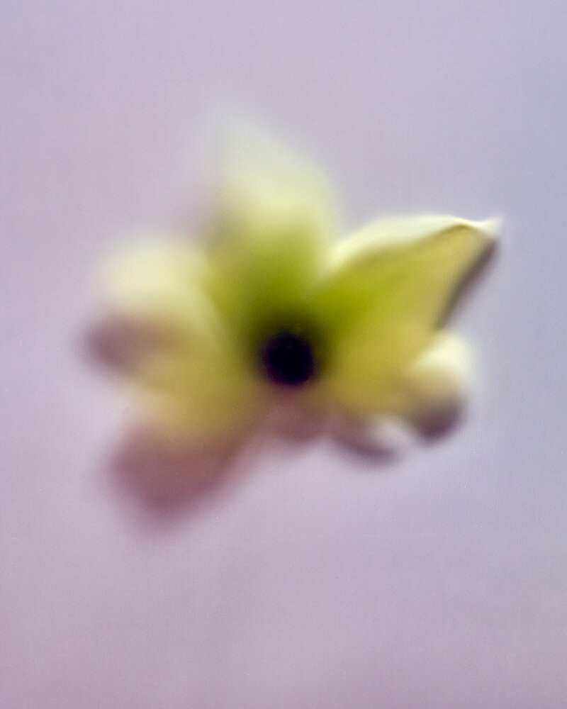 Yudi Ela Echevarria Feb. 26