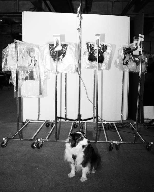 Behind the scenes of the Wacoal new campaig...