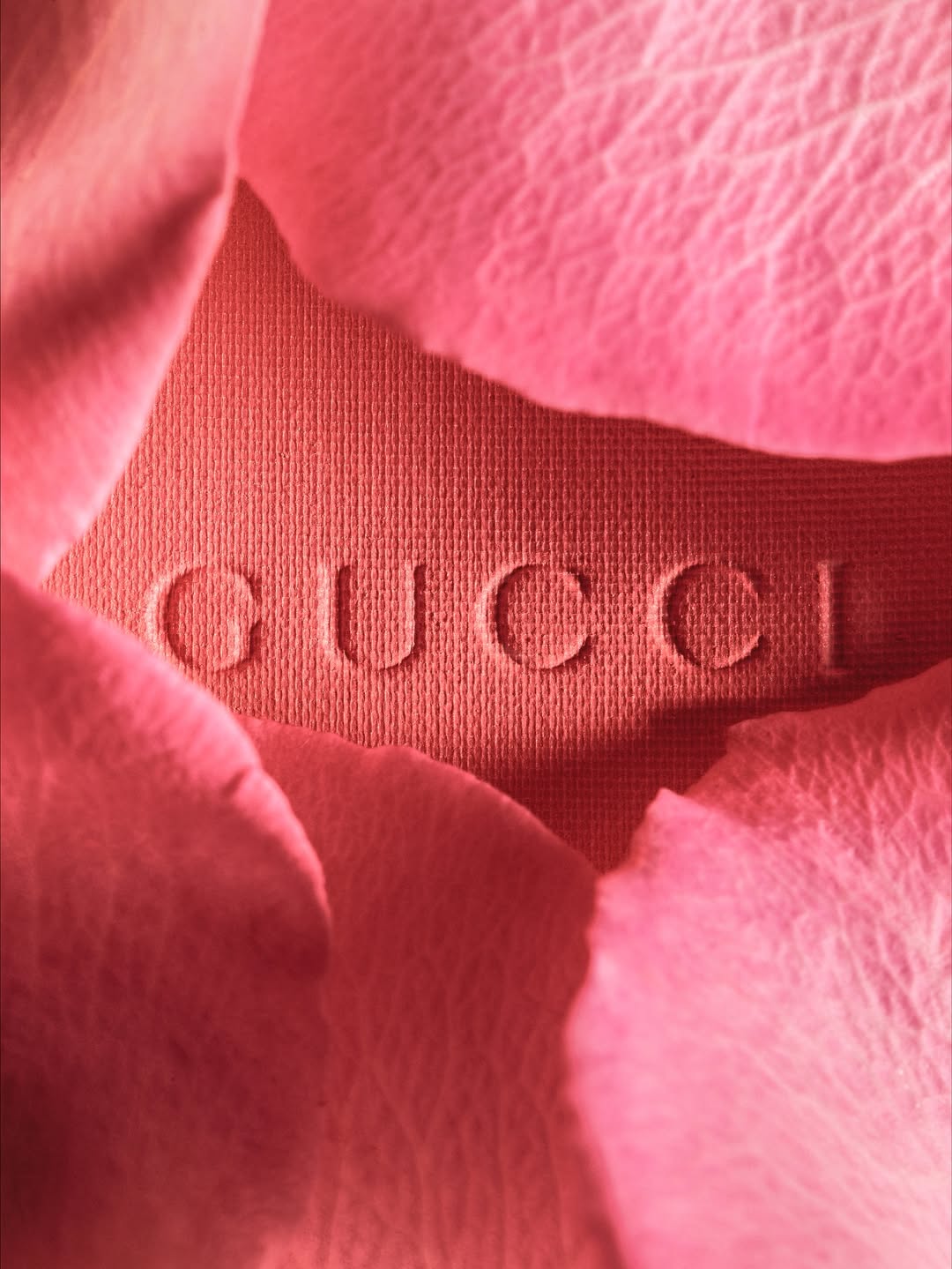 Suzanne Saroff X Gucci Beauty Oct. 25
