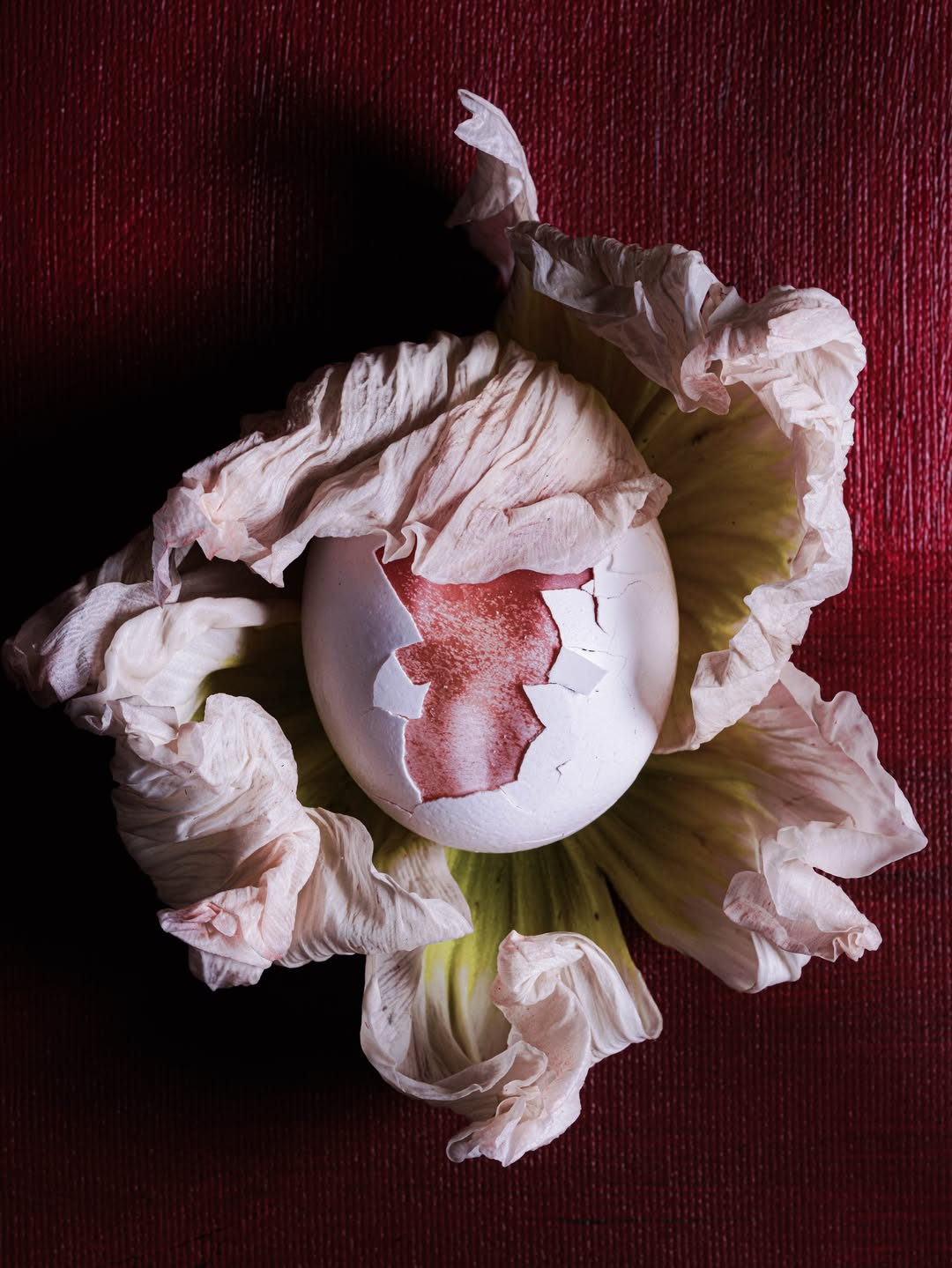 Suzanne Saroff Apr. 26