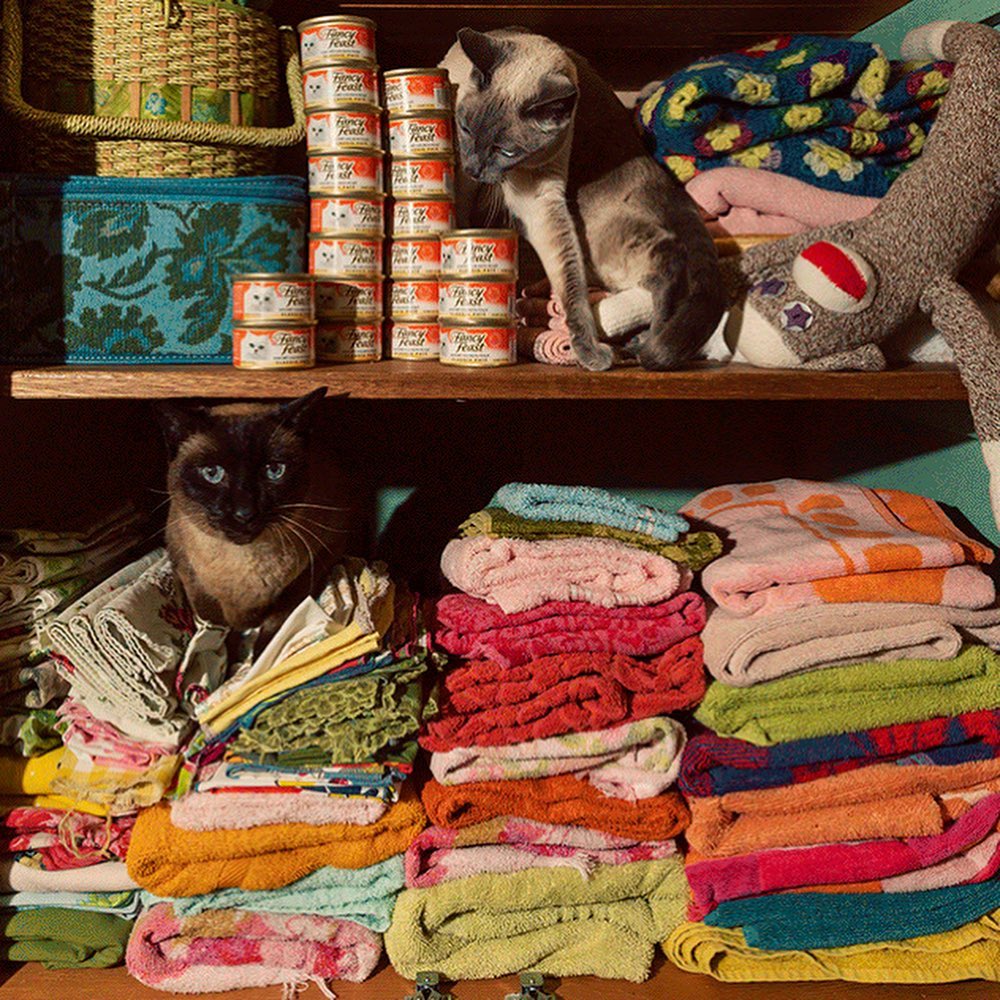 Refinery29 |  Apr. 20