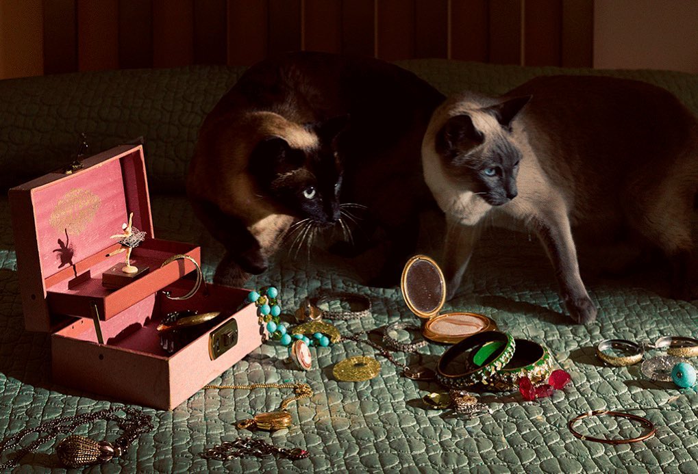 Refinery29 |  Apr. 20