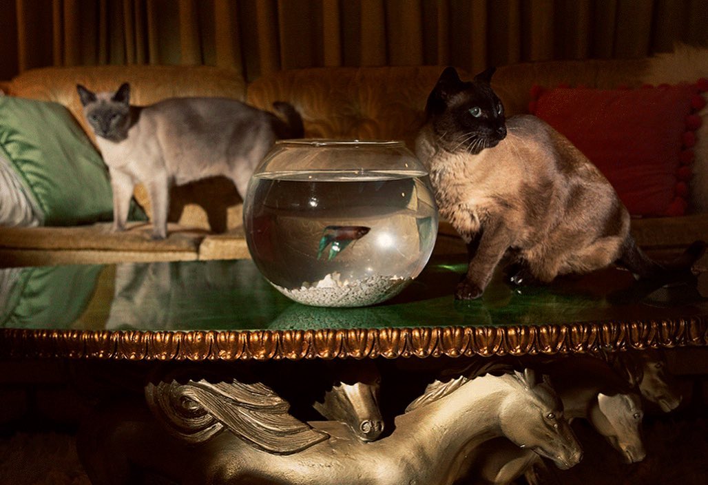 Refinery29 |  Apr. 20