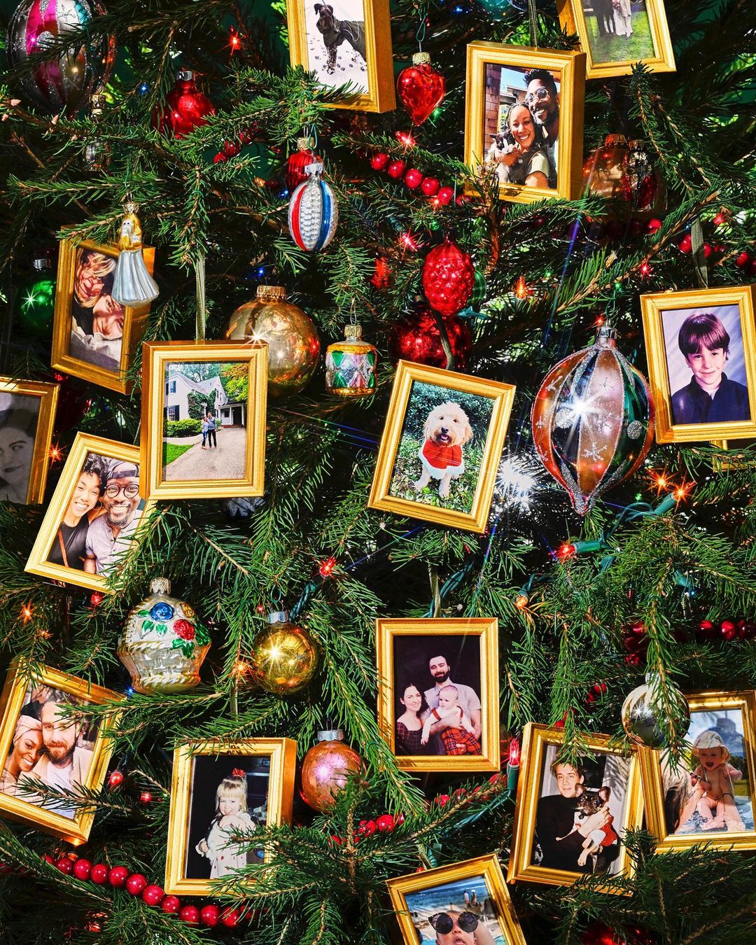 Framebridge |  Nov. 22