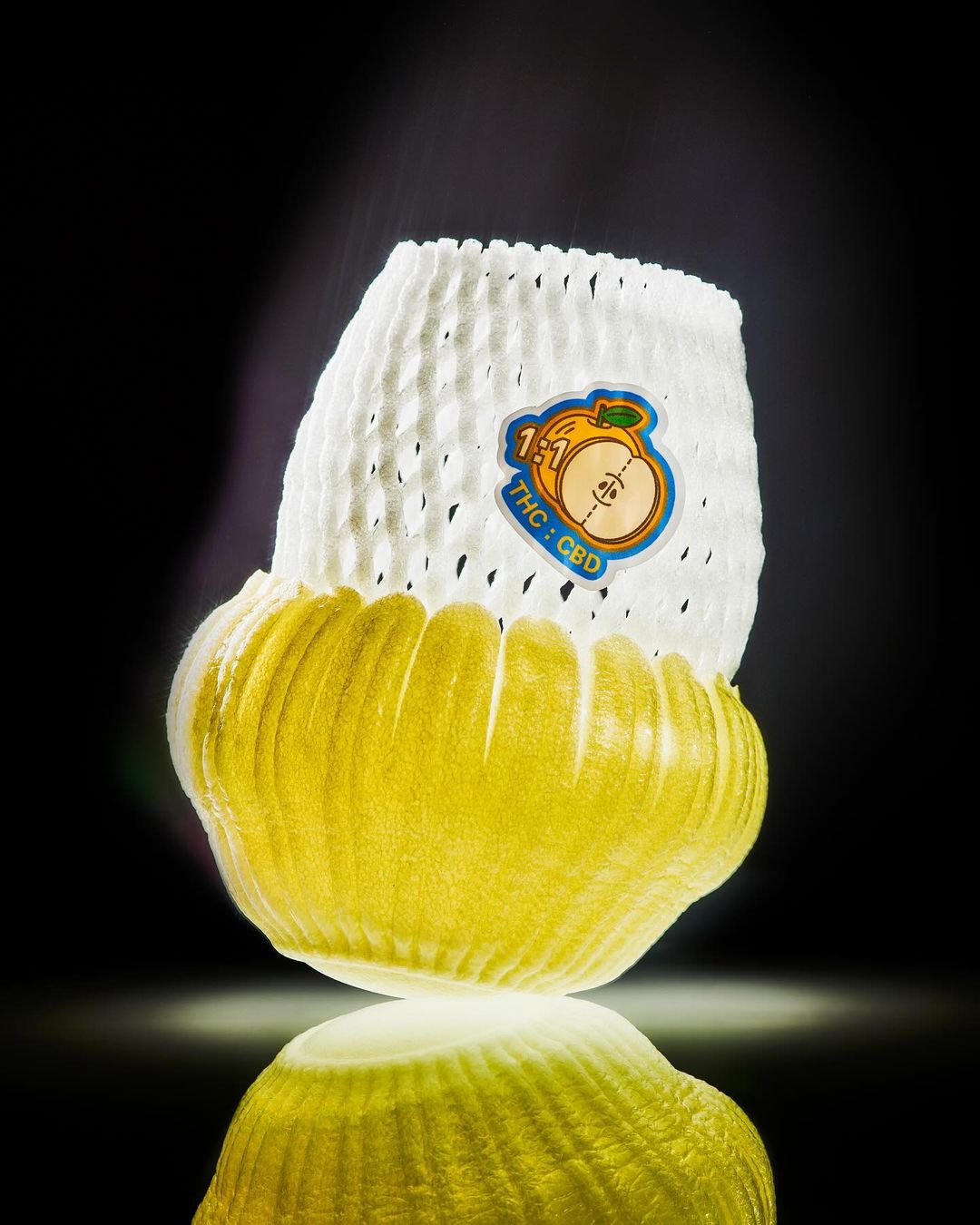 Sundae School |  Jan. 24