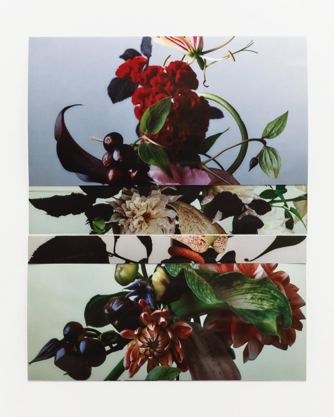 Romain Roucoules Nov. 25