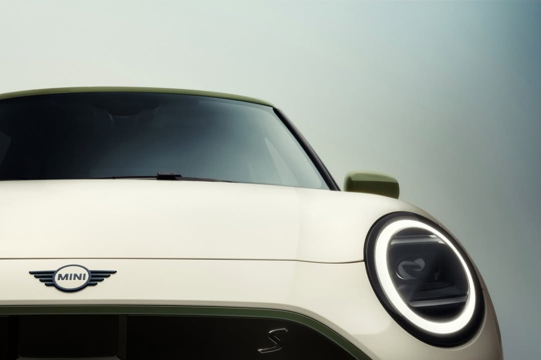 David Daub X Mini Dec. 25