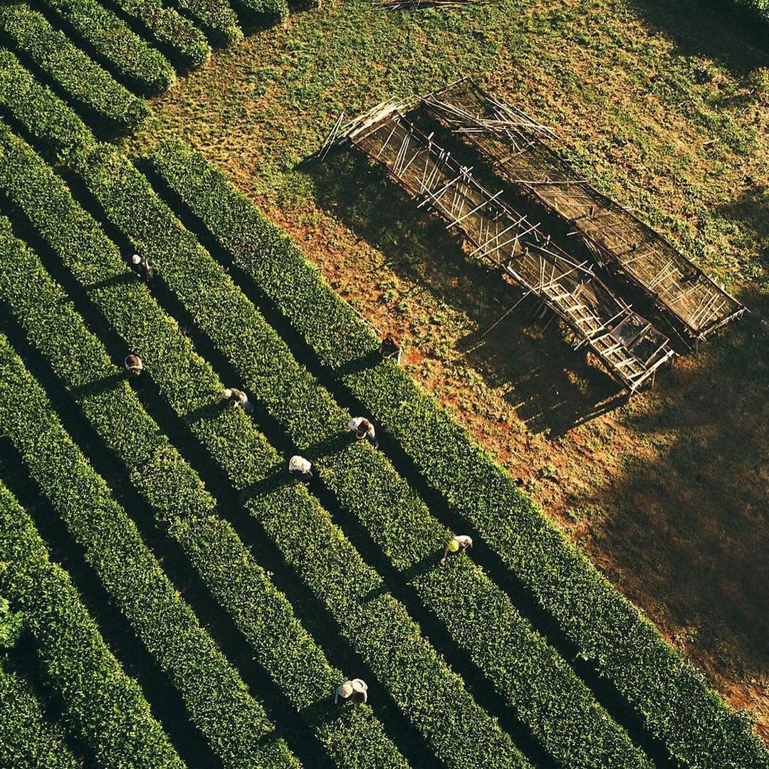 Departures |  Aug. 22