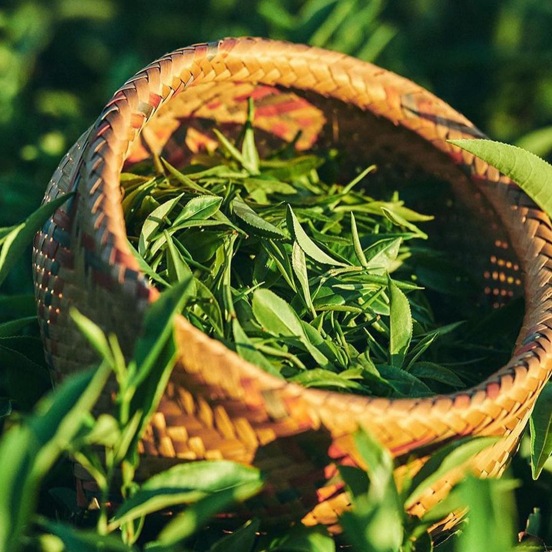 Departures |  Aug. 22